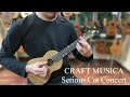 【craft musica】serious cat 461　コンサートサイズ