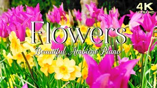 Vibrant Spring & Summer Flowers Relaxation Film - Relaxing Piano Music w/ Nature Sounds