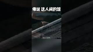 人生就是减法 见一面少一面 好好珍惜你身边 爱你的人和你爱的人 因为人生没有下辈子。#禅悟人生 #人生感悟 #佛说