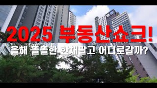 아직도 똘똘한 한채? 부자들은 한발 빨리 움직입니다! [2025 부동산전망]