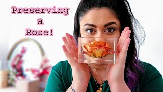 How To Preserve a Full Rose in Resin!