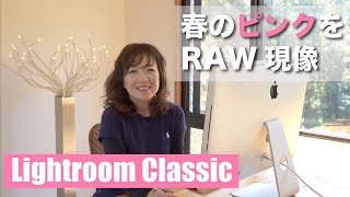 Lightroomで春のピンク色をRAW現像しましょう♪