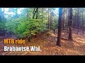 MTB: Brabantse Wal