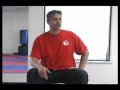 Chi Kung Q&A with Sifu Dan Ferrera - Vol 1.2