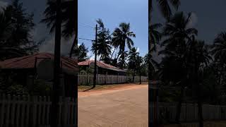 Kodi Beach🏖️ - Kodi Bengre , Udupi #deltabeach #karnataka #beaches #beachwalk #shorts