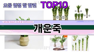 요즘 많이 팔린 개운죽 추천 Top10