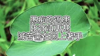 2022 05 26 阿贊耀答問：愚痴的過患比貪嗔更甚 滅苦需在因地上著手