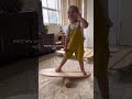 best balance board mumlife balanceboard sunshinecoast surf