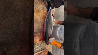 Bluefin Tuna fish cutting in fish market #shorts #fish #tuna #fishcutting