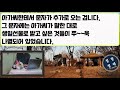 실화사연 시댁의 3억 사업지원금 요청을 단칼에 거절한 며느리.5개의 보험증서에 시모가 울부짖네요 사연라디오 썰 사연읽어주는여자 네이트판레전드사연 사이다사연신청낭독부부시월드남편이혼