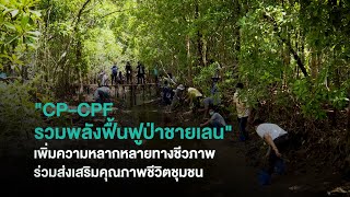 เรื่องดีดี CPF EP.211 ตอน CP-CPF รวมพลังฟื้นฟูป่าชายเลน ส่งเสริมคุณภาพชีวิตชุมชน