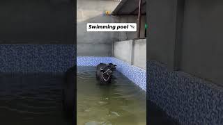 swimming pool of buffalo