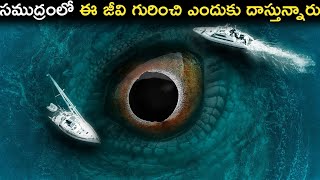 సముద్రంలో ఈ జీవి గురించి ఎందుకు దాస్తున్నారు | Why Do Deep Sea Creatures Evolve Into Giants?