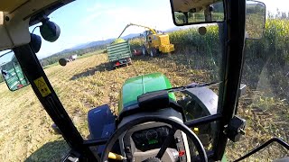 Corn Silage Season