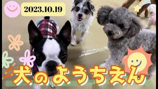 犬の幼稚園　まとめ2023.10.20　ドッグスクール縁島根県松江市宍道町　犬のしつけ　トレーニング　しつけ教室　出張　ドッグラン（講習制）　ドッグフリーキャンプ場　犬の保育園