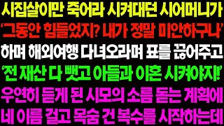 실화사연 시집살이만 시켰던 시모가 '그동안 힘들었지 내가 정말 미안하구나' 하며 해외 여행 다녀오라면 표를 끊어주는데 초대박 반전이   사이다 사연,  감동사연, 톡