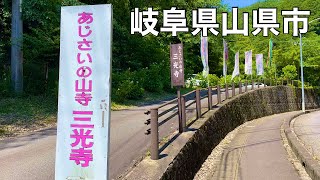 岐阜県各務原市【各務原大橋】から岐阜県山県市【あじさいの山寺　三光寺】へサイクリング