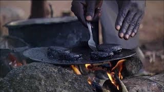 Mosquitoes/Flies Burgers from Africa!