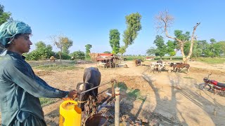 Wonderful Village Life in Pakistan | Rural Life Pakistan | Old Culture of Punjab Pakistan ASMR