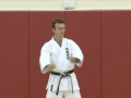 karate concepts commitment required in your training