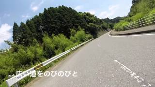 房総・県道88〜89