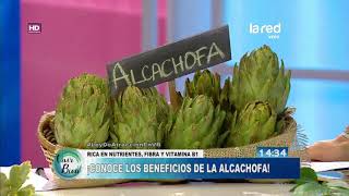 En "Vivir Bien" detallamos los grandes beneficios de la alcachofa para la salud