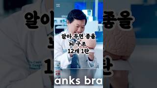 알아 두면 좋을 뇌 구조 12가지 1탄 #뇌과학 #신경과학 #뇌구조 #1분뇌과학