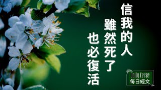 [聖經經文][中英雙語/Bilingual Chinese and English][耶穌對她說 復活在我 生命也在我 信我的人雖然死了 也必復活--約翰福音11章25節]  #復活節 #Easter