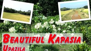 Natural Beauty of Kapasia Upazila | Rian's Studio