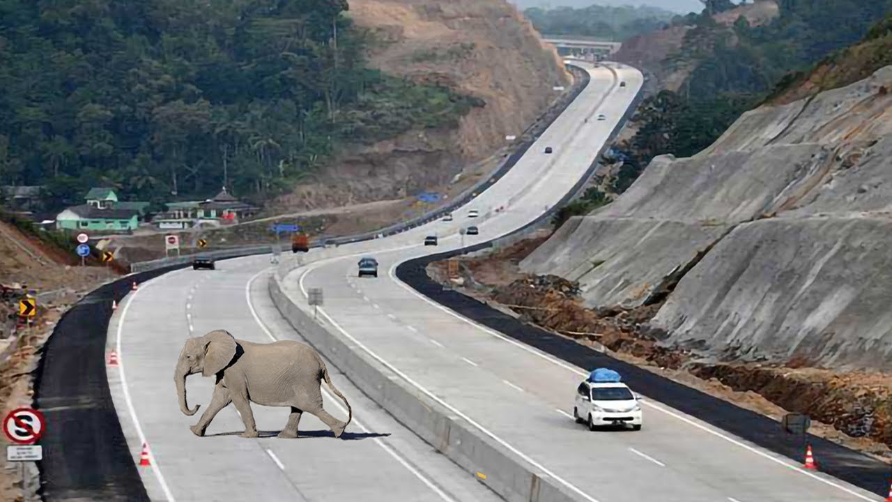 Inilah Rekor Proyek Jalan Tol Terpanjang Dan Termahal Indonesia - YouTube