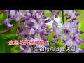 紫藤花开 ~ 陈瑞 mv