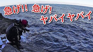 磯の幻を釣りに行ったら、いきなり竿が舞い込んだ！！