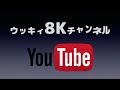 オーディオ用 超低ノイズ リニア電源【フルオプションでオーダーしました】24bit192khz 8k review