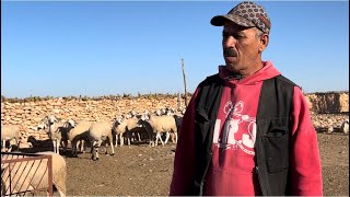 مباشرة اليوم من بوگدرة في عبدة 🇲🇦 اسمع ما قالوه الكسابة الشرفاء بخوصوص الغاء عيد الأضحى 🐑 2025