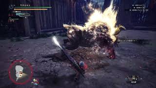 @,モンハン,君はゴールデントロフィー,ソロ,スラアク,PS4pro,スラッシュアックス,MHWorld,モンハンワールド,MHWアイスボーン,MHW,MHWiB,MHWI,モンスターハンター