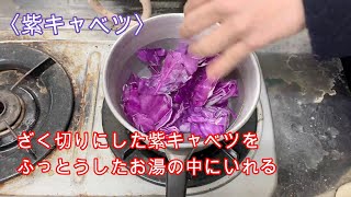 色水ブース : 標津サイエンスフェア冬(動画開催) 2021/01/23