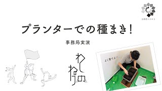 【生産不足の和紙の原料トロロアオイを家庭で育てる「わしのねり」プロジェクト】種まき方法事務局実演