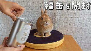 うさぎの縁起物が欲しい！無印良品の2023福缶を開封したら予想外の物が当たりました【うさぎカフェ ぽっぷ Pop】