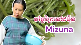 Picking Mizuna from Japanese forest