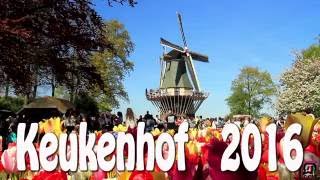 KEUKENHOF 2016  (the Garden of Europe)  Full HD.