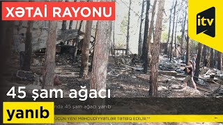 Xətai rayonunda 45 şam ağacı yanıb