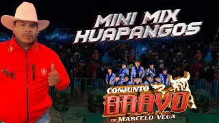 MINI MIX HUAPANGOS / Conjunto Bravo - La Ventilla - Dolores Hidalgo, Guanajuato