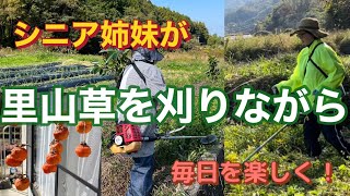 【里山実家姉妹】11-②草刈りながら16時間断食ダイエットその後