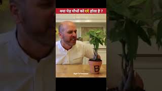 क्या पेड़ पौधों 🌳 को दर्द होता है ? 🤔 | #shorts | By Right To Education