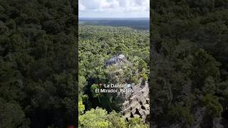 The lost city of El Mirador, Guatemala! #guatelinda #guatemala #ladanta #guate #floresguatemala