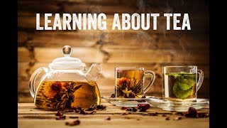 Understanding Tea with Don Mei