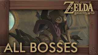 Zelda Breath of the Wild - All Bosses on MASTER MODE (No Damage)
