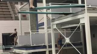 Lauren Gryboski 405c 3m Springboard Diving