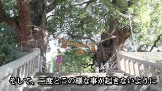 神社シリーズ　福山雅治クスノキ　片足鳥居　山王神社