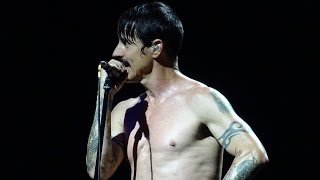 Red Hot Chili Peppers - Scar Tissue @ Barcelona 2016